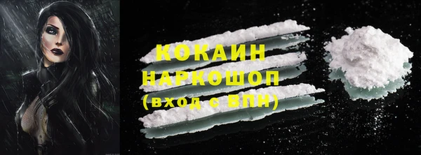ГАЛЛЮЦИНОГЕННЫЕ ГРИБЫ Михайлов
