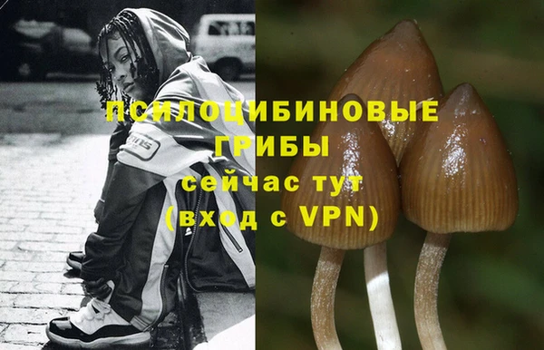 прущая мука Наволоки