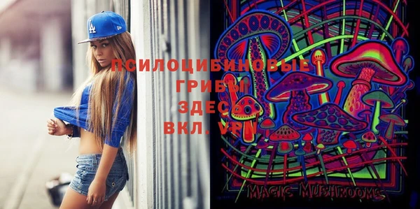 гашик Михайловка