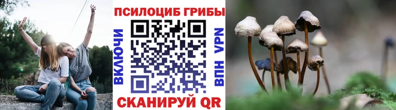 Псилоцибиновые грибы Psilocybe  мега   Николаевск-на-Амуре 